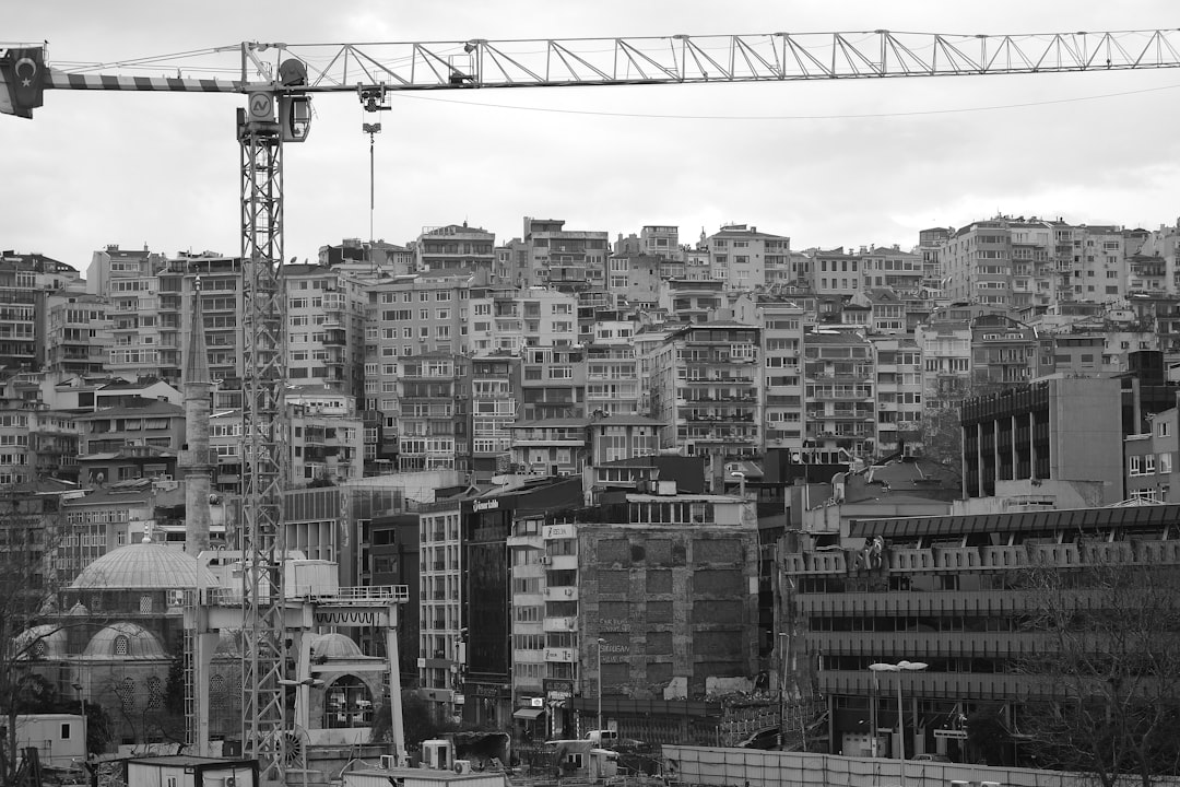 פרויקטים של מאיר בנימין דוידי: חזון והצלחה ביזמות הנדל"ן הישראלית